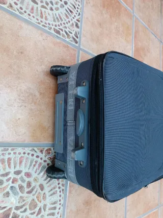 Maleta Delta gris 60x45x25