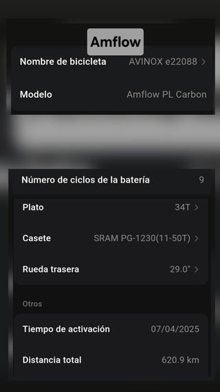 Bicicleta AMFLOW PL Carbon