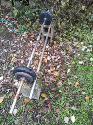 Banco de pesas y pesas