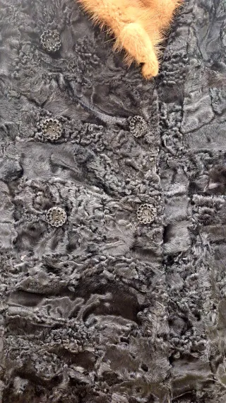Abrigo de piel negro de garras de astracan.