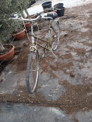 Bicicleta Clásica Verde Buen Estado