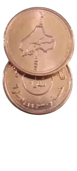 MONEDA DE IRAK 100% AUTÉNTICA
