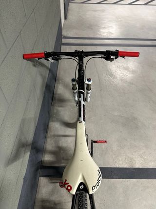 Bicicleta Focus Raven Pro Carbono