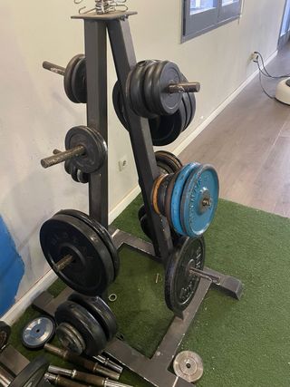 Press da panca con barra e dischi