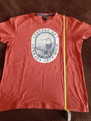 Camiseta Springfield XL Estampada Toucan