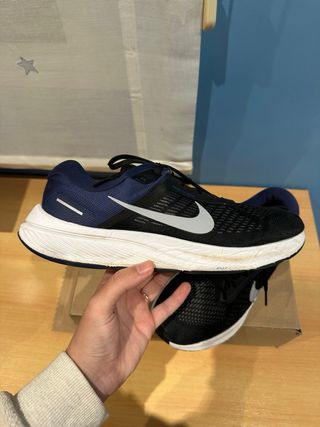 Zapatillas Nike Running Negras y Azules