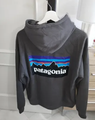 Felpa Patagonia Grigia con Cappuccio