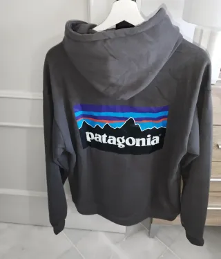 Felpa Patagonia Grigia con Cappuccio