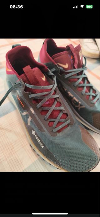 Nike Pegasus Trail GTX 47,5