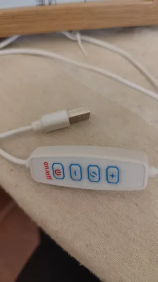 Cuadro de luz LED Dan heng - Honkai