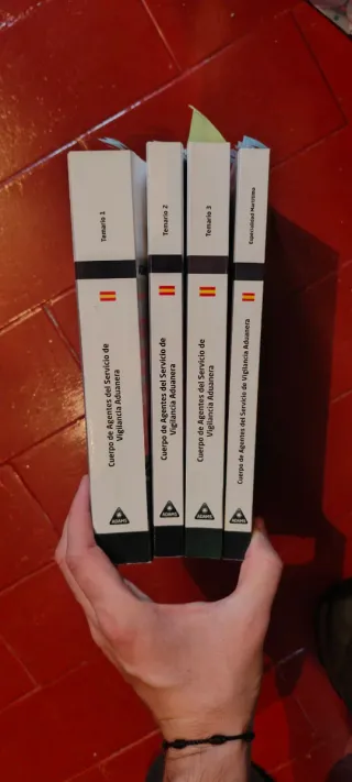 Agentes del servicio de vigilancia aduanera