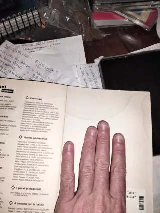 Il cavaliere del falcone d'oro