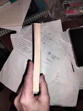 Il cavaliere del falcone d'oro