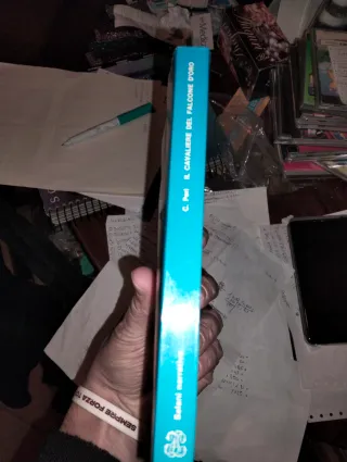 Il cavaliere del falcone d'oro