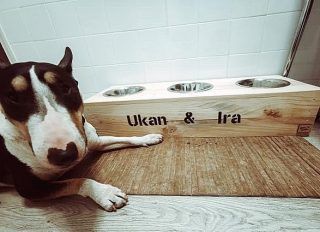 Cama y comedero madera hecho a mano