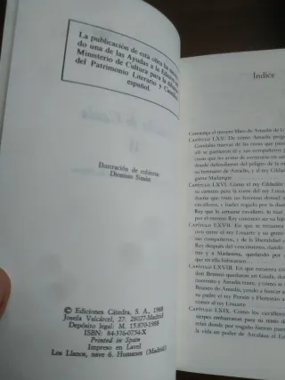 Amadis de Gaula I y II