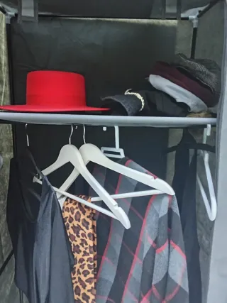 Armario portátil con funda