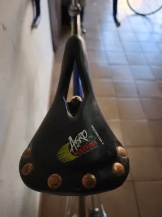 Bicicleta Virus Ovoid Clásica