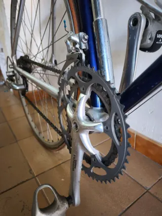 Bicicleta Virus Ovoid Clásica