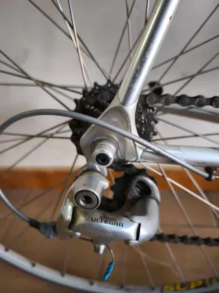 Bicicleta Virus Ovoid Clásica