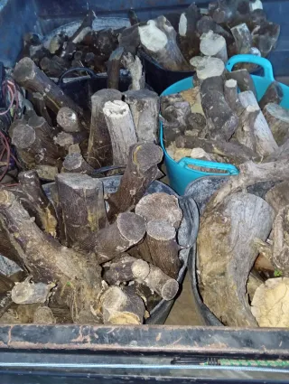 Leña de naranjo en capazos facilitael transporte