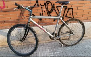 Bicicleta de montaña plateada