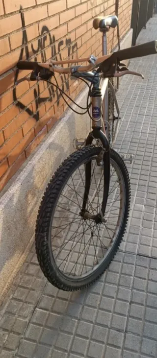 Bicicleta de montaña plateada