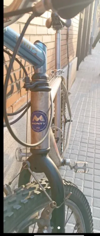 Bicicleta de montaña plateada