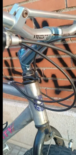 Bicicleta de montaña plateada