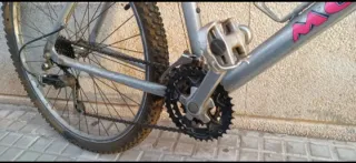 Bicicleta de montaña plateada