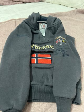 Sudadera Geographical Norway Gris