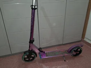 Patinete plegable de metal (100 Kg)