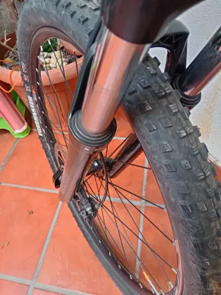 Bicicleta de Montaña Eléctrica