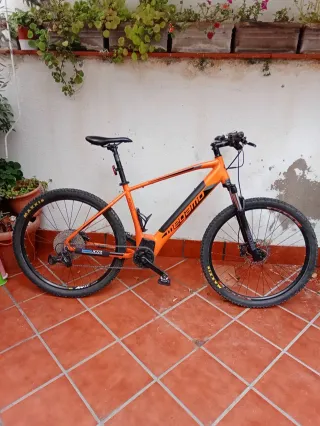 Bicicleta de Montaña Eléctrica