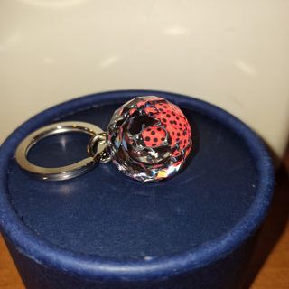 Portachiavi cristallo con coccinella
