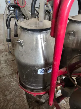 Ordeñadora eléctrica para vacas GAMAK