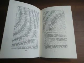 El Amadis y el género de la Historia Fingida