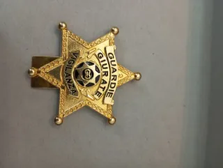 Insegna Guardie Giurate Vigilanza