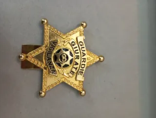Insegna Guardie Giurate Vigilanza