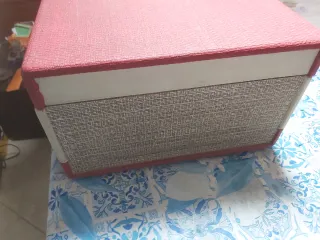 Fonovaligia Lesa Zodyna RTV-1 funzionante