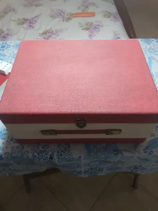 Fonovaligia Lesa Zodyna RTV-1 funzionante