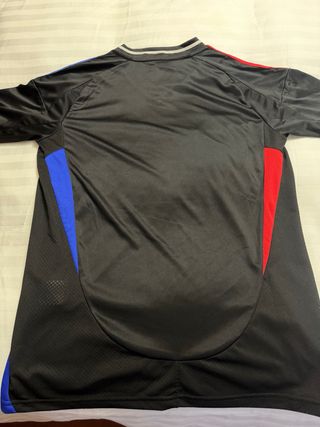 Camiseta Olympique Lyon 24-25 Adidas Negra