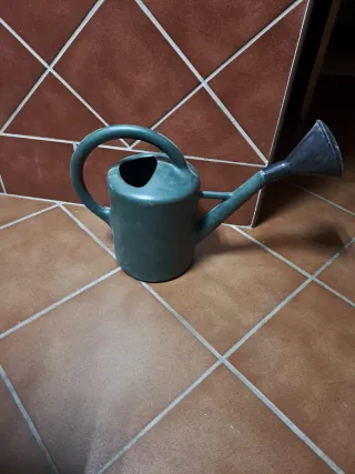 Regadera verde 3 litros