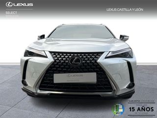 Lexus UX 300H + 2WD