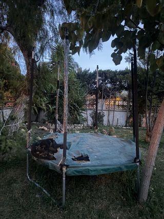 Saltador para niños