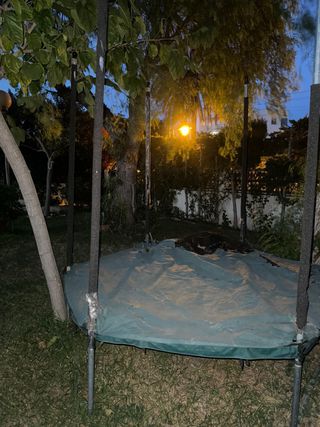 Saltador para niños