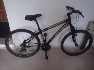 Bicicleta de Montaña