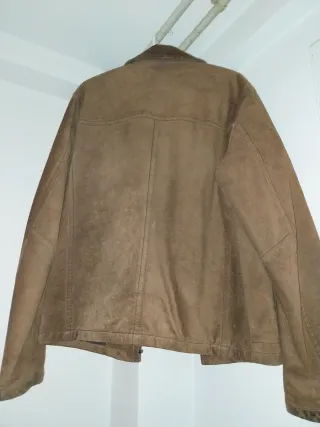 Cazadora Springfield Ante Marrón