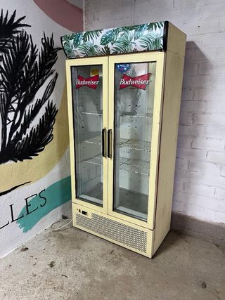 Nevera botellero 2 puertas