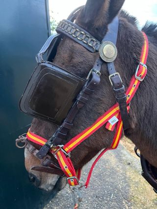 Arreos de mulo limonera